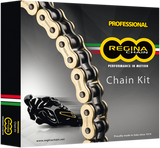 Chain and Sprocket Kit - Kawasaki - EX 300 Ninja - \'13-\'17 2013 - 2017
