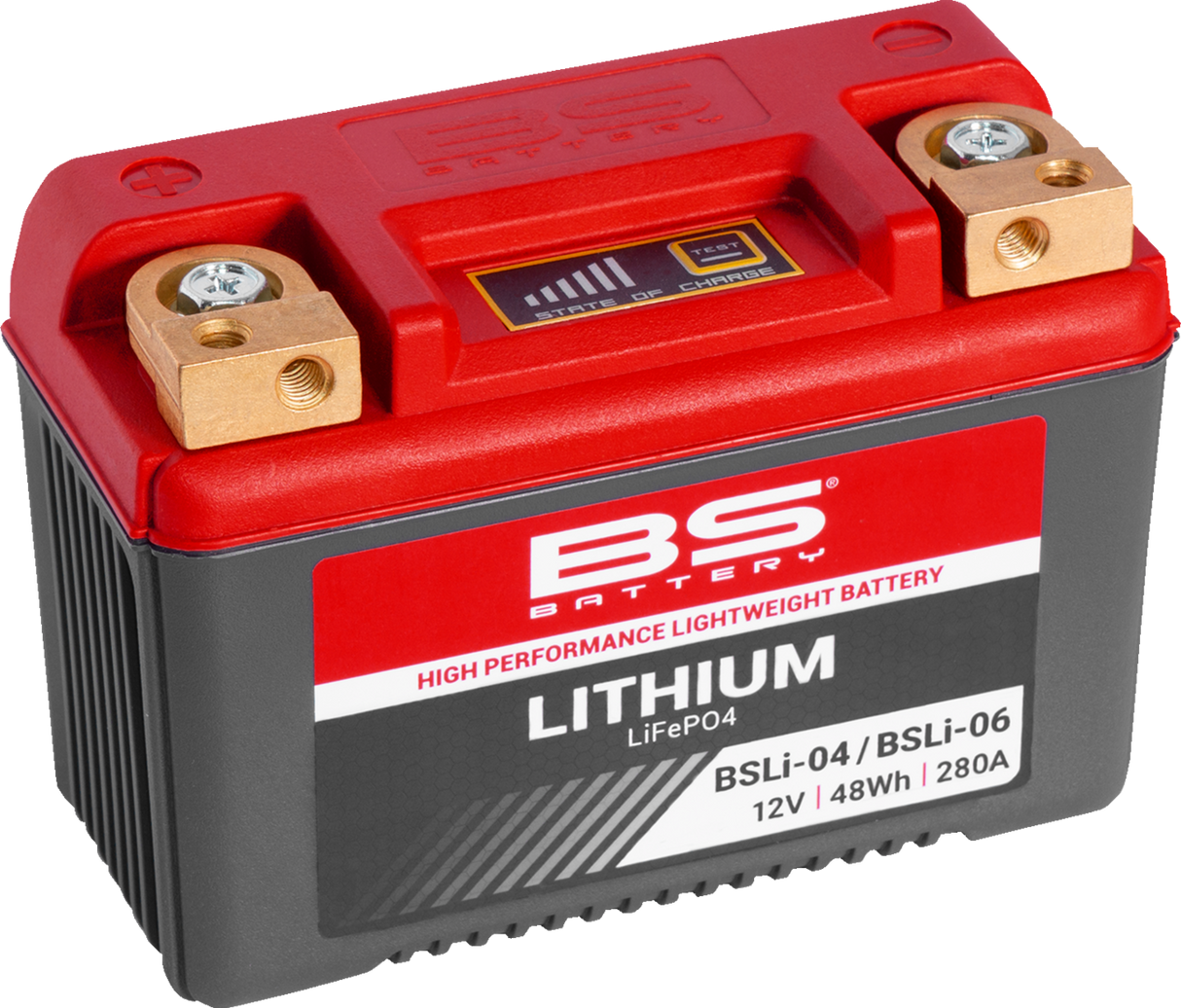 Lithium Battery - BSLi-04/06 1972 - 2023