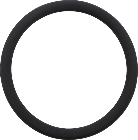 Floating Piston - O-Ring - 50 mm 2016 - 2021