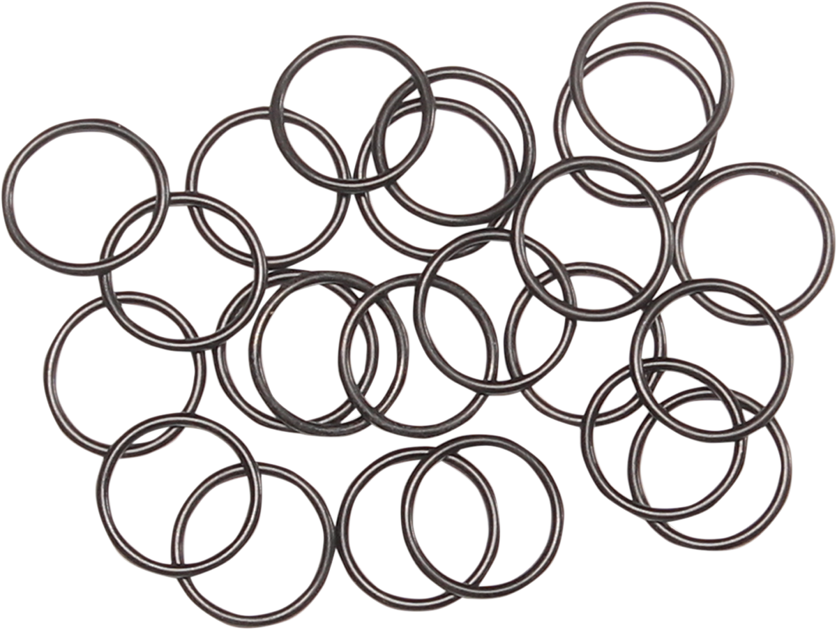O-Ring - 25 Pack 1979 - 2024