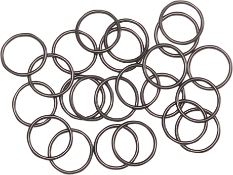 O-Ring - 25 Pack 1979 - 2024