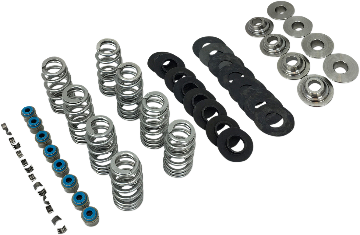 Beehive Valve Spring Kit - M8 2017 - 2021