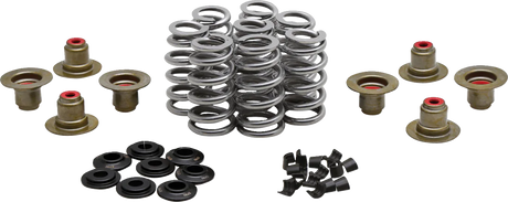 Beehive Spring Kit - 0.640\" Lift - M8 | CVO 2017 - 2024