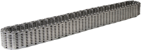 Transaxle Rear Drive Chain 2007 - 2022