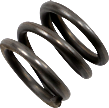 Damper Spring - 41mm - \'97-\'13 FLT 1986 - 2017