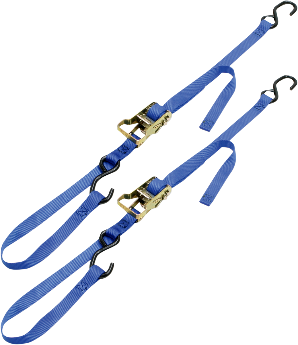 Integra Rat Pak Tie-Downs - 1\" x 6\' - Blue