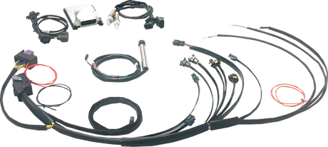 Complete Stand Alone EFI Engine Management System - Twin Cam 1999 - 2017