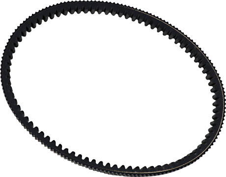 Drive Belt 2006 - 2019