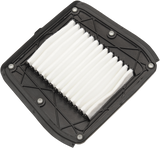 OEM Replacement Air Filter - Indian 2015 - 2024