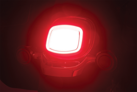 Taillight - Red 2006 - 2021