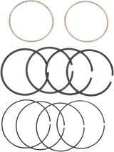 Replacement Piston Rings - 3.875\" - +.005