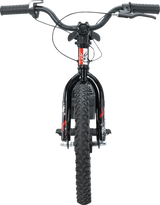 RS-16 E-Bike - Agroid - Balance