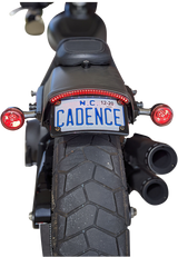 LED Taillight with Turn Signal - Red 2018 - 2023