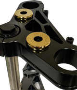 Bushing Kit - Riser - Gold Titanium Nitride 1973 - 2017