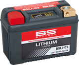 Lithium Battery - BSLi-03 1968 - 2023