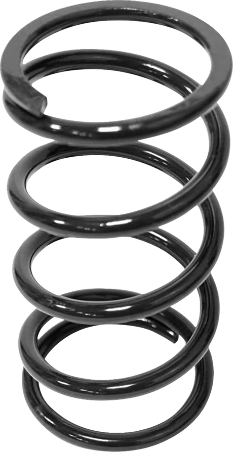 Secondary Clutch Spring