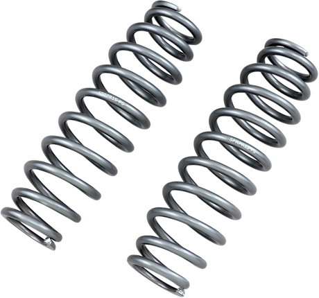 Rear Shock Springs - Silver 2013 - 2022