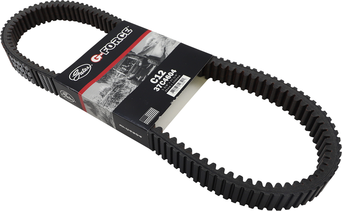 Drive Belt 2012 - 2019