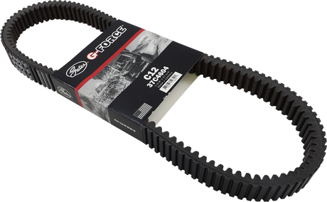 Drive Belt 2012 - 2019