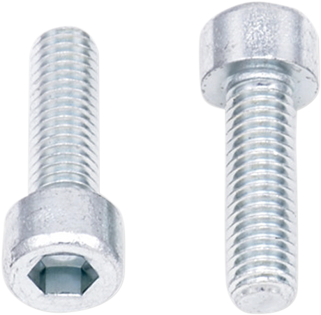 Allen Bolts - Socket-Head - M6 x 20 - 10-Pack