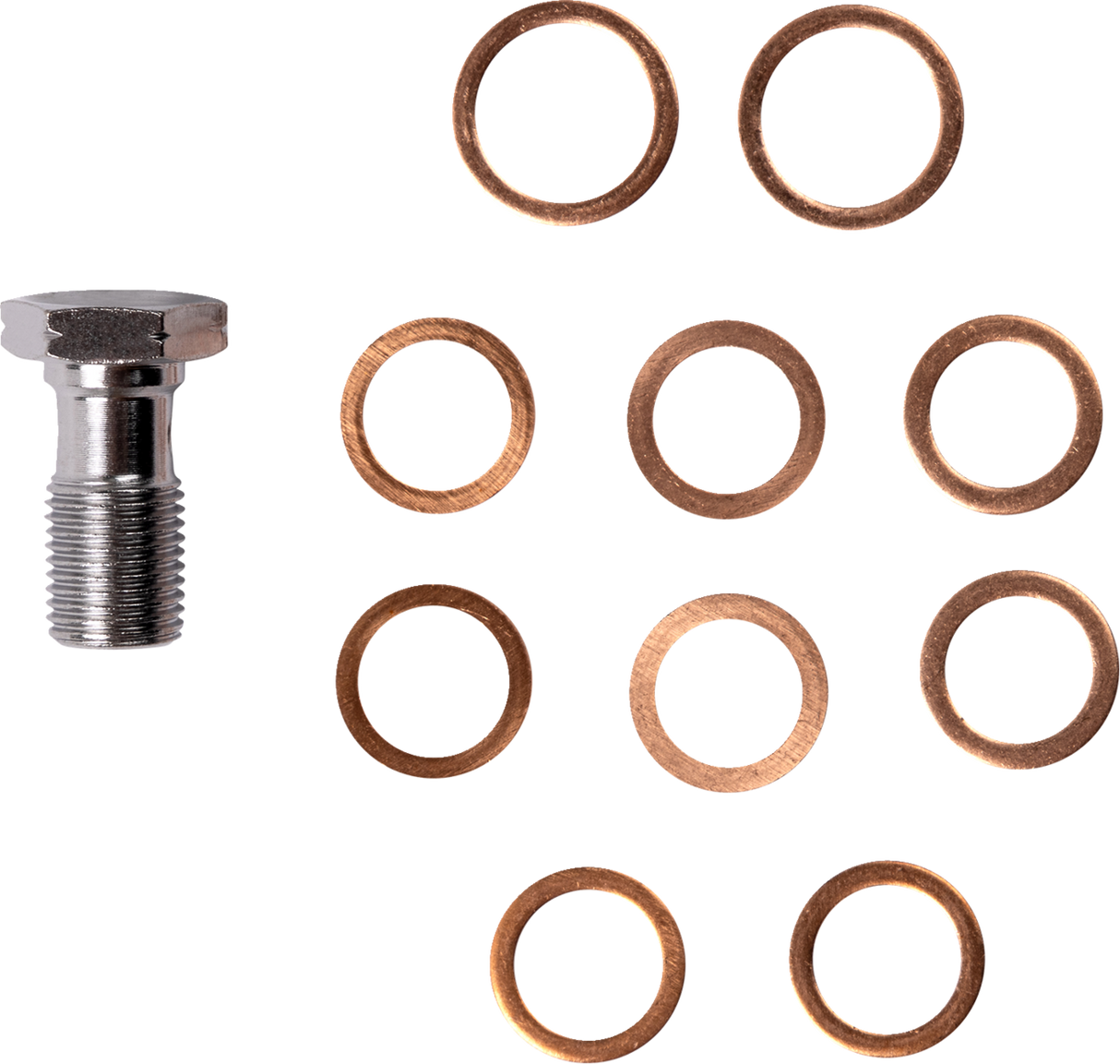 Brake Line - 24\"+ - \'08-\'10 FL 2023 - 2024