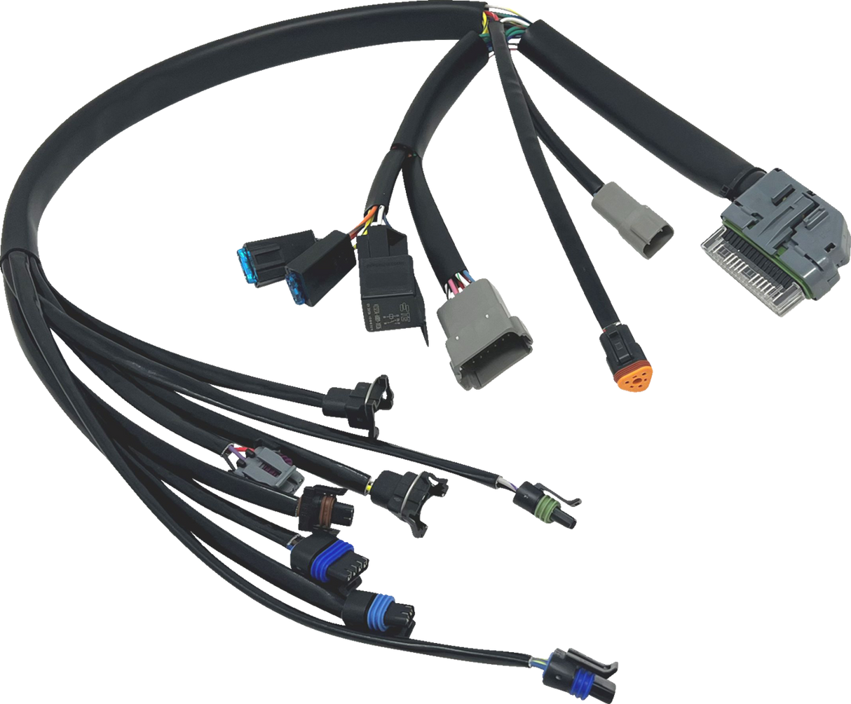 EFI Harness - \'04-\'05 FLH/FLT 2004 - 2005