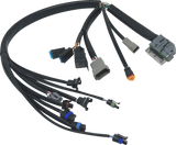 EFI Harness - \'04-\'05 FLH/FLT 2004 - 2005
