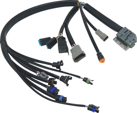 EFI Harness - \'04-\'05 FLH/FLT 2004 - 2005