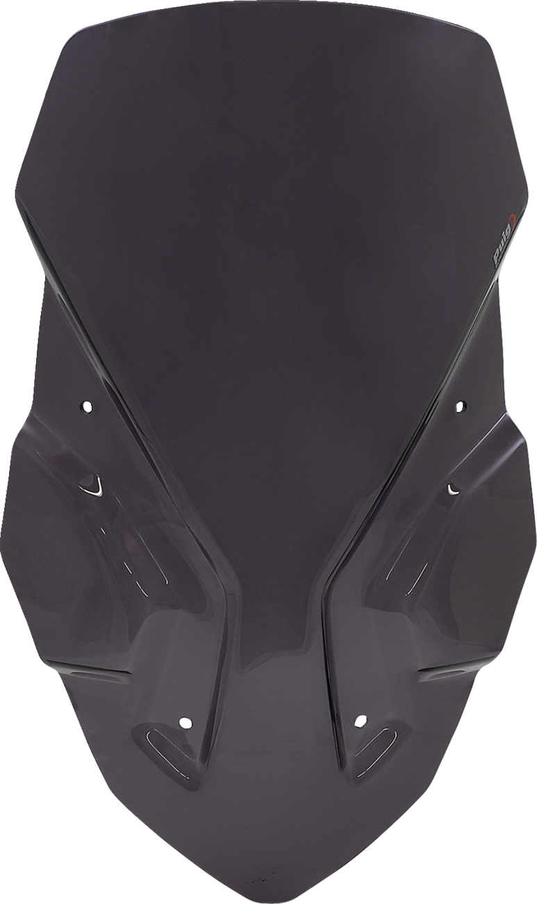 Touring Windscreen - Dark Smoke - Africa 2016 - 2019