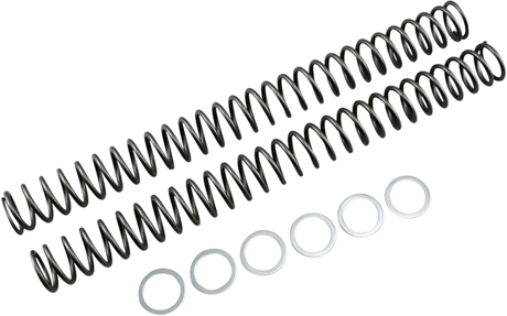 Fork Springs - 0.50 kg/mm 2005 - 2005