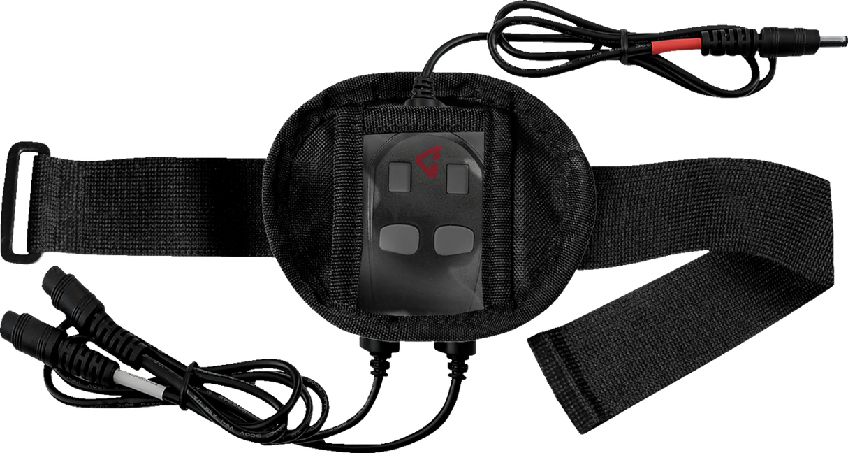 Case - Dual Portable Controller