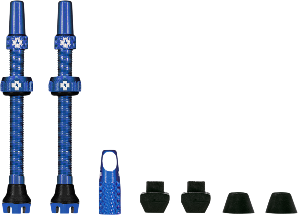 Tubeless Valve Stems - Blue