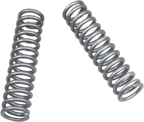 Rear Shock Springs - Silver 2016 - 2019