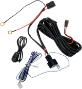 Wiring Harness with Switch