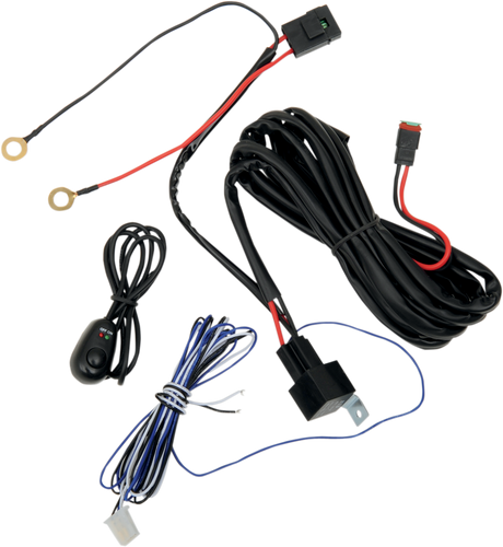 Wiring Harness with Switch
