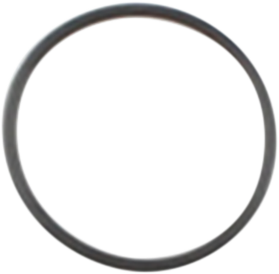 Starter Seal O-Ring - Twin Cam 1999 - 2017