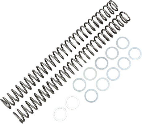 Fork Springs - 0.46 kg/mm 2015 - 2016