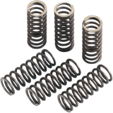 Clutch Springs 1985 - 2013