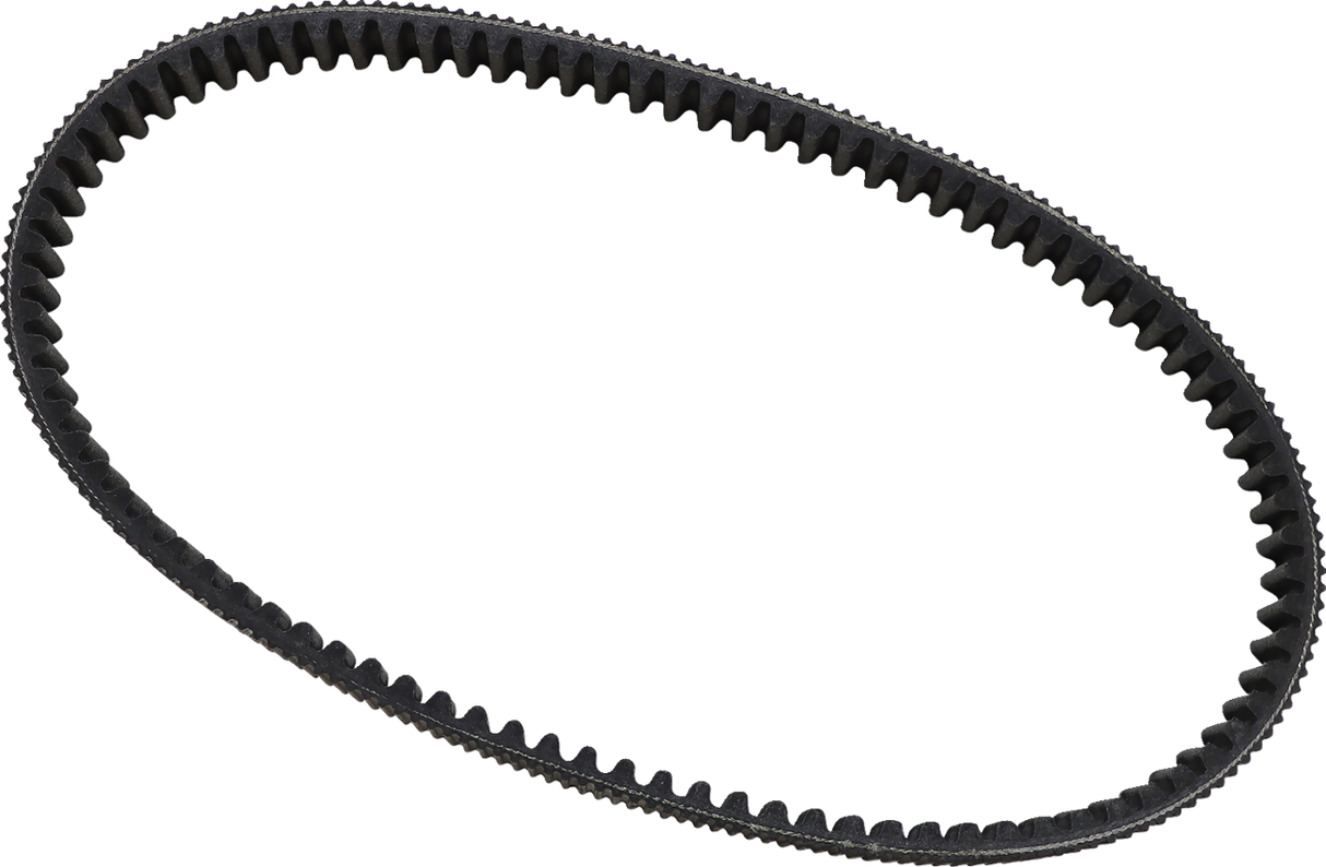 Drive Belt 1994 - 2015