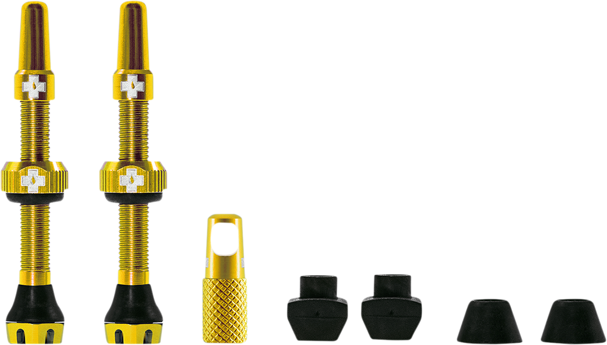 Tubeless Valve Stems - Gold