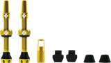 Tubeless Valve Stems - Gold