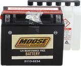 AGM Battery - YTX12-BS 1985 - 2014
