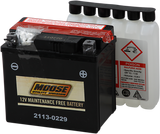 AGM Battery - YTZ7S 2008 - 2016