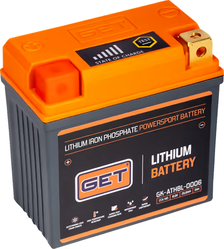 Lithium Iron Battery 2016 - 2024