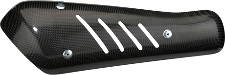 Carbon Muffler - Bag Guard 2020 - 2023