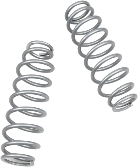Front/Rear Shock Springs - Silver 2006 - 2023