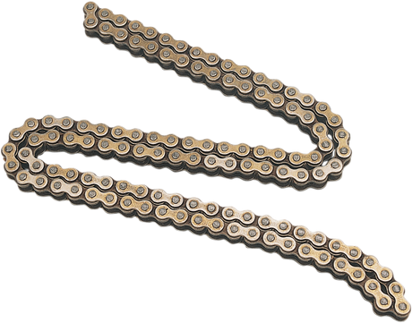 Cam Chain - Roller - 219FTSSDHA x 90 Links 1987 - 2005