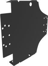 Amp Mount - FLTR 15+ 2015 - 2020