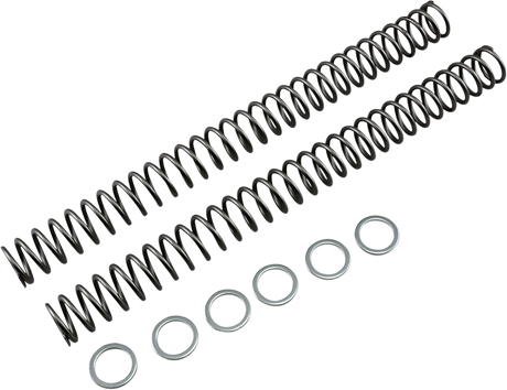 Fork Springs - 0.46 kg/mm 2002 - 2016
