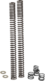 Fork Lowering Springs 2017 - 2024